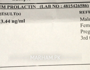 Query Related To Lab Report 