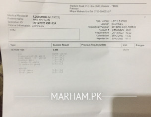 Stomach + Dakar A Lot 