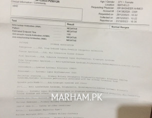 Stomach + Dakar A Lot 