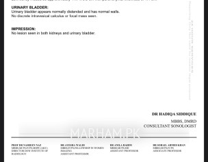 Lower Abdomen Back Pain