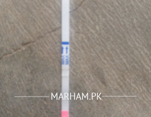 Pregansy Test