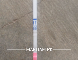 Pregansy Test