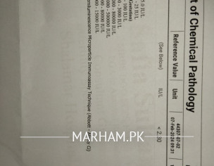 BHcG Report