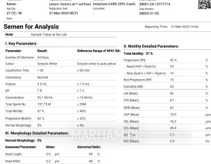 Husband Semen Analysis Report