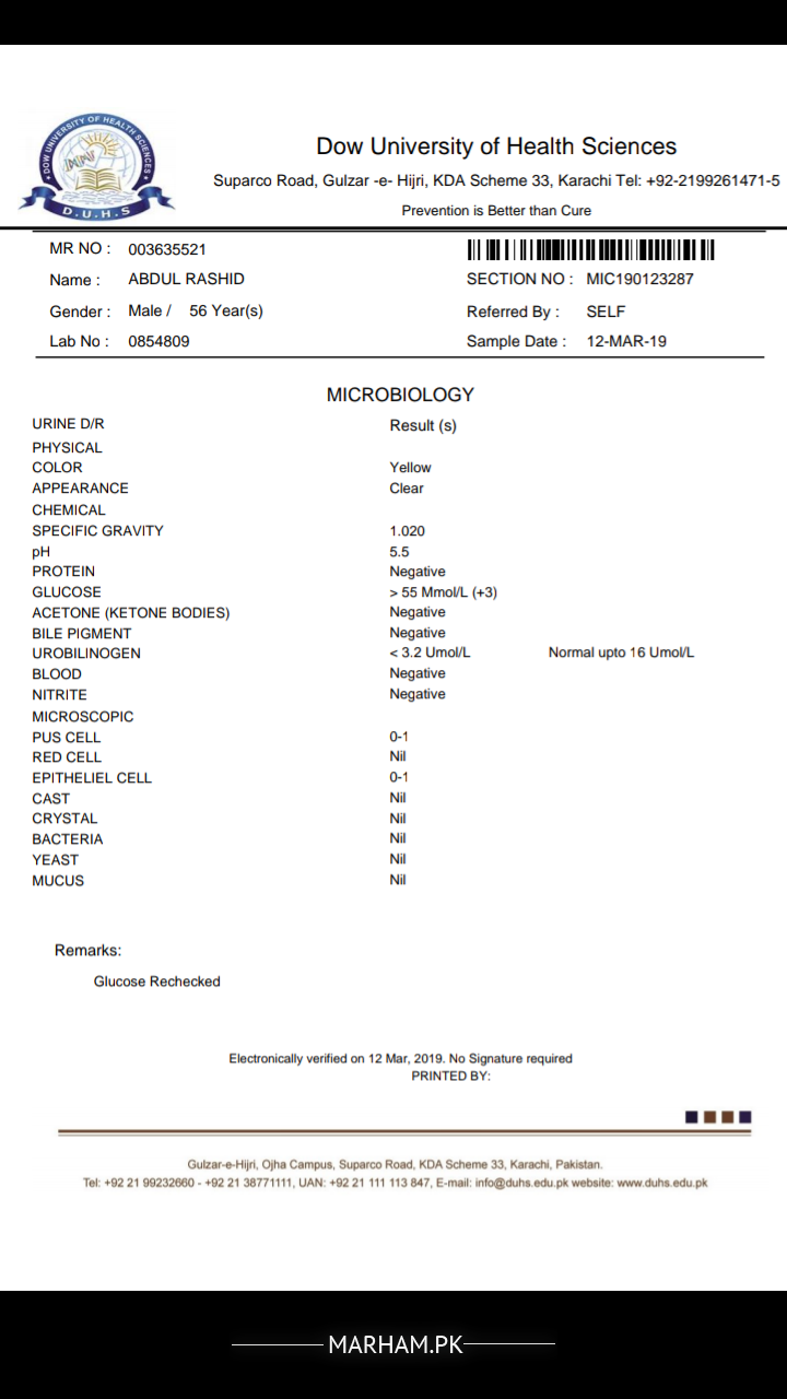 urine test report