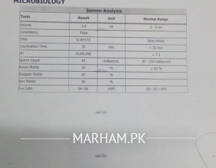 Semen Test Report 