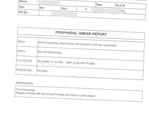Ent And Blood Reports