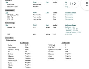 Blood And Urine Reports