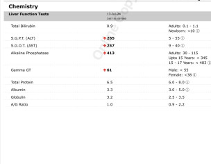 Raised Lfts In Pregnancy 37weeks