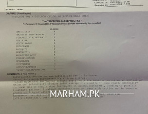 Urine Culture Report 