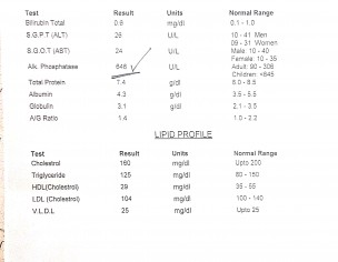Phosphate Is Increased To 644 