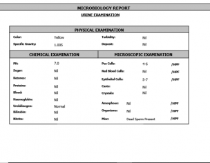 Inflammation And IBD