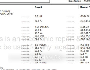 Report Interpretation