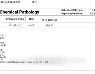 Total Testosterone Report