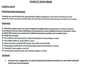 Development Delay (Cystic Leuomalacia)