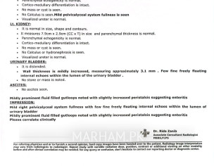 Bladder And Urine Problem