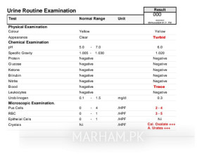 Bladder And Urine Problem