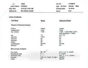 Bladder And Urine Problem