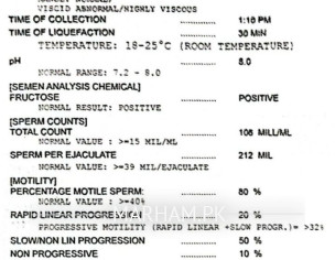 Seman Analysis Report Checked