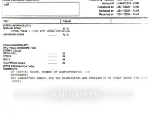 Seman Analysis Report Checked