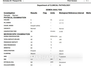 Semen Report Please Check