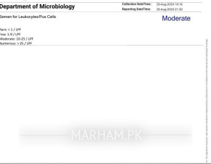 Nocturnal Emission (Nightfall)