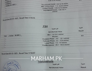 Health Problem And Conceiving Problem