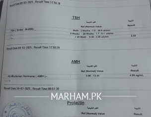 Health Problem And Conceiving Problem