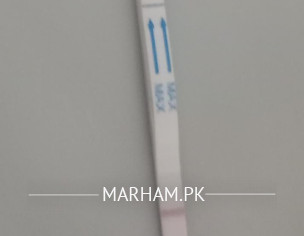 Early Pregnancy First Month 