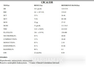 Interpret The Report
