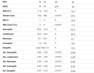 Test Reports Check Please