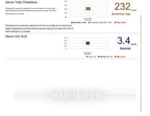 Test Reports Analysis