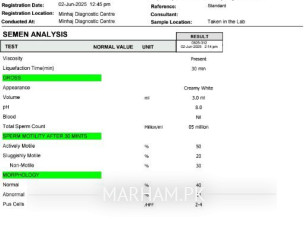 Semen Analysis