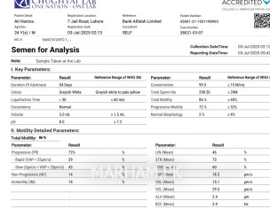 Semen Analysis Report