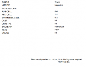 Pregnancy Test Reports