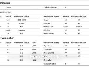 CBC And Urine Complete Report