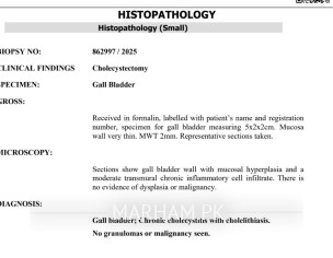 Gallbladder Biopsy