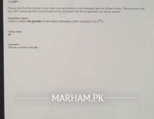 Gastrointestinalogist