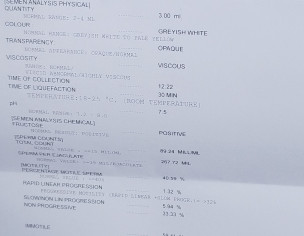 Semen Analysis Report