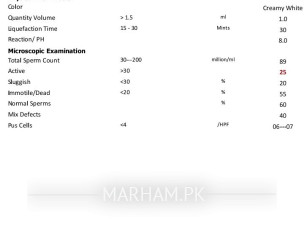 Semens Analysis Report