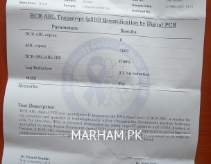 CML Patient