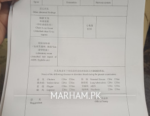 Foreigner Physical Examination Form