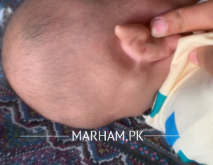 Kaan K Peechy Sir Py Giltii