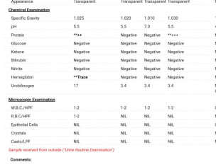 Urine Report