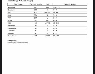 Lymphocytes Are High
