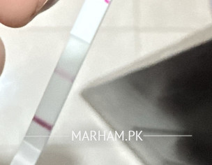 Pregnancy Test 