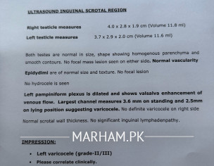 Scrotal Report 