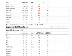 Hepatitis E And Liver Problem 