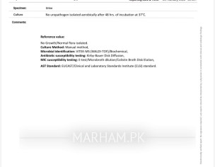 Urine Culture Report