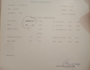 Varricocele | Bladder Issues | Pus Cells In Urine